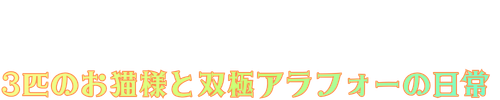 ３匹のお猫様と双極アラフォーの日常